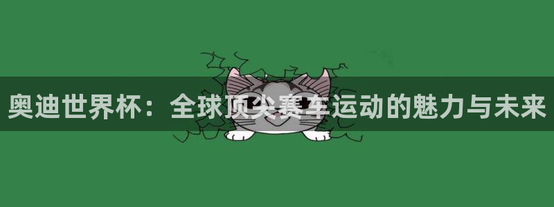 男足世界杯预选赛赛程:奥迪世界杯:全球顶尖赛车运动的魅力与未来