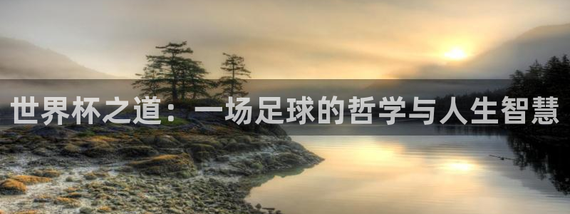 世俱杯直播:世界杯之道:一场足球的哲学与人生智慧