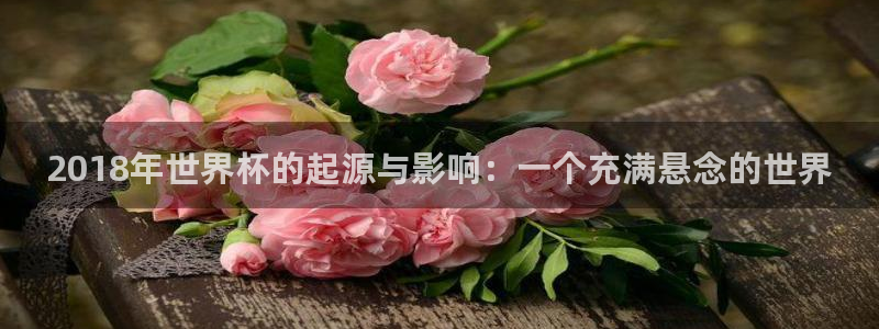 中国 世界杯:2018年世界杯的起源与影响:一个充满悬念的世界