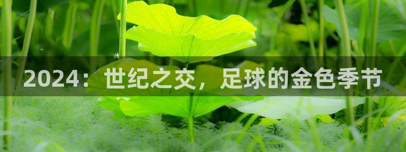 2026世界杯亚洲区预选赛:2024:世纪之交,足球的金色季节