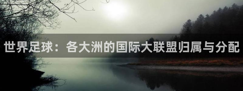 世界杯 2026:世界足球:各大洲的国际大联盟归属与分配