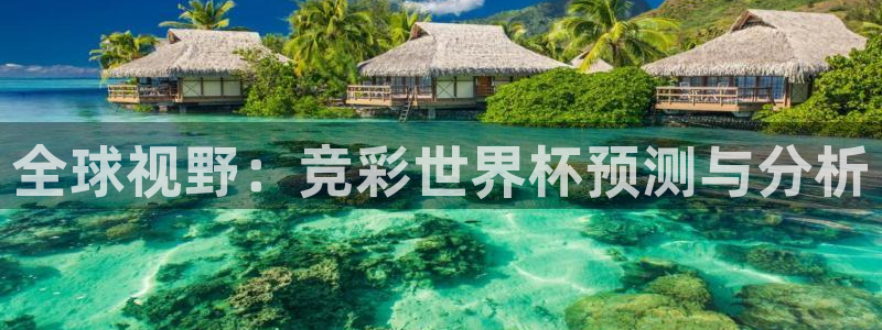 世界杯比赛赛程:全球视野:竞彩世界杯预测与分析