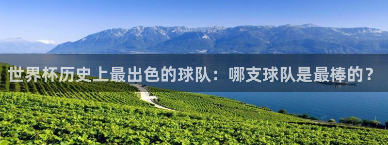 2006年世界杯冠军:世界杯历史上最出色的球队:哪支球队是最棒的?